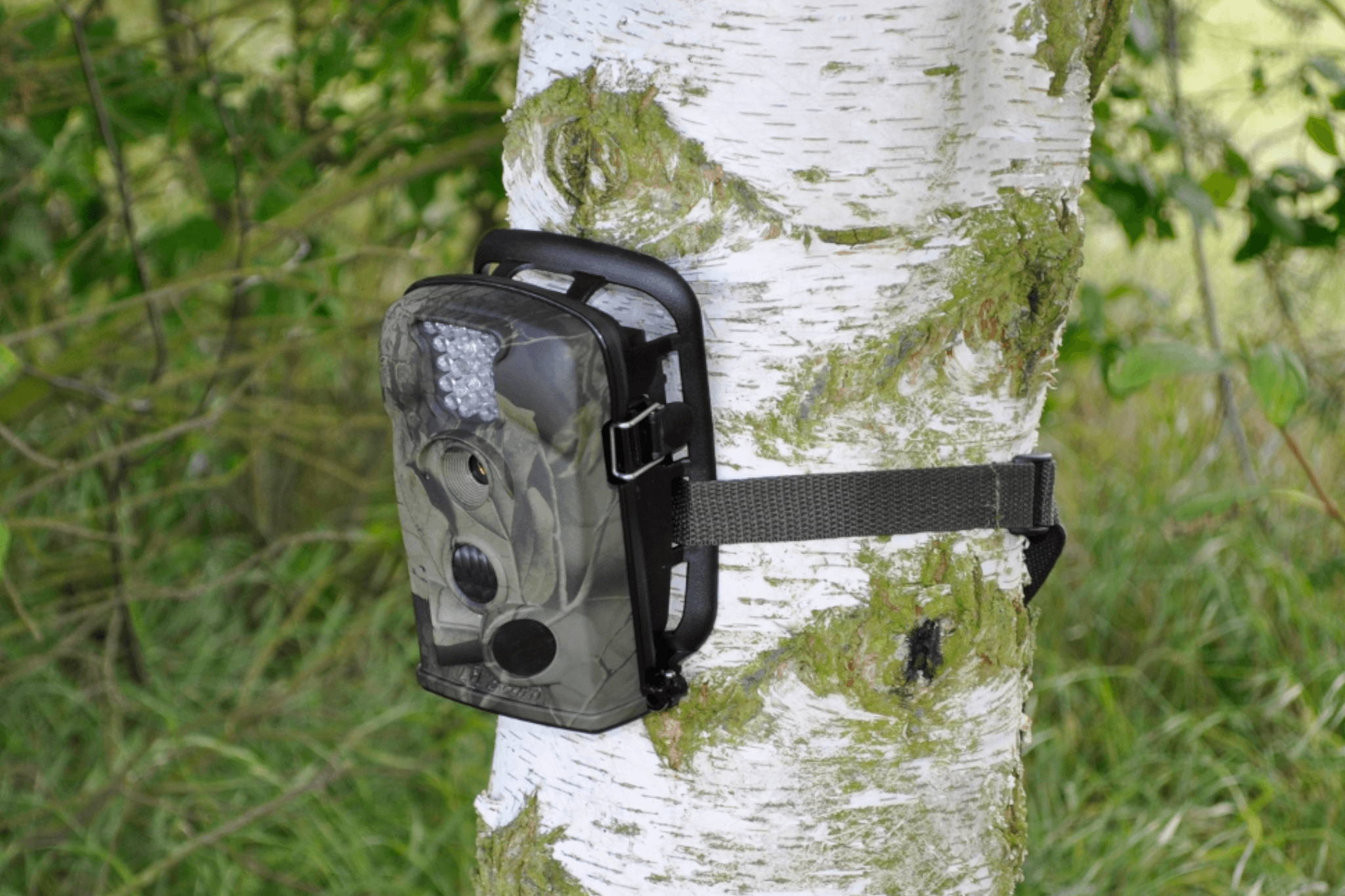 LTL Acorn Scouting Wildlife Camera – BBC Gardeners’ World Magazine