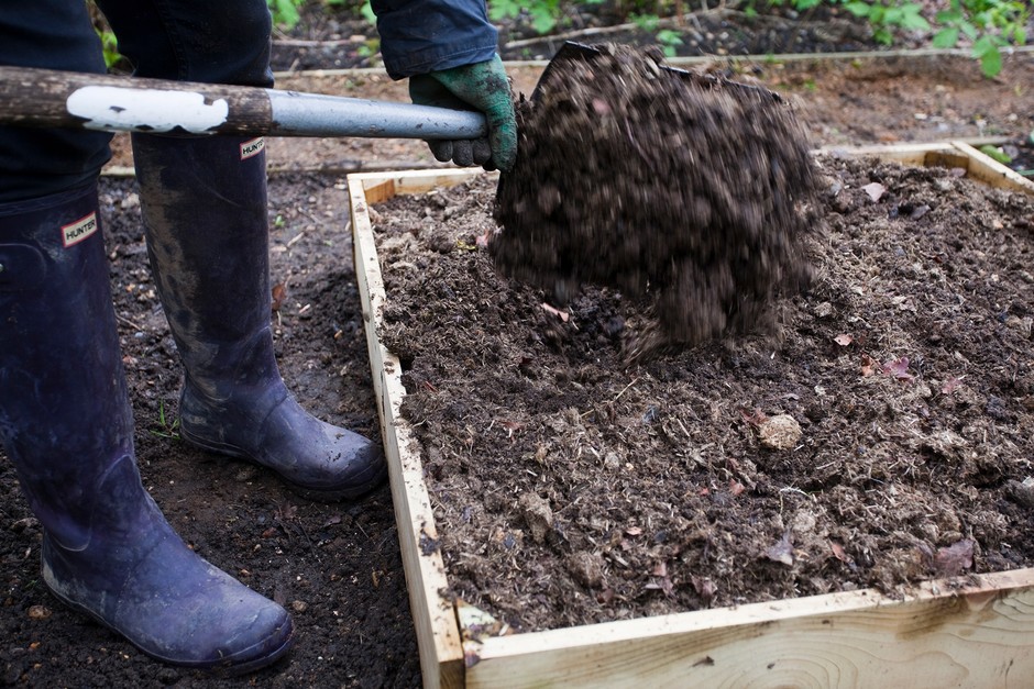 Adding horse manure to a raised bed