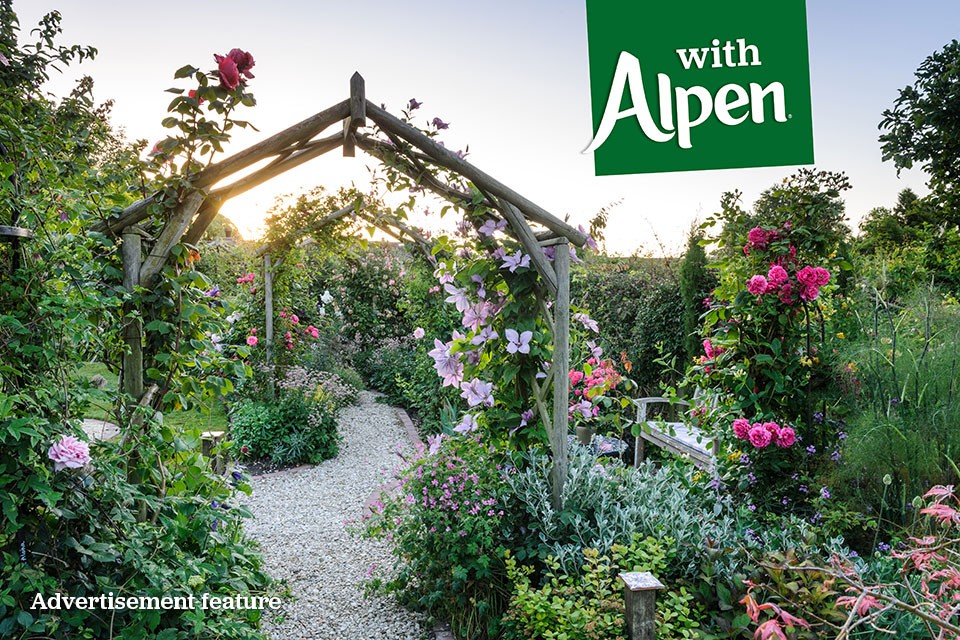 Picture of a garden with Alpen logo overlayed