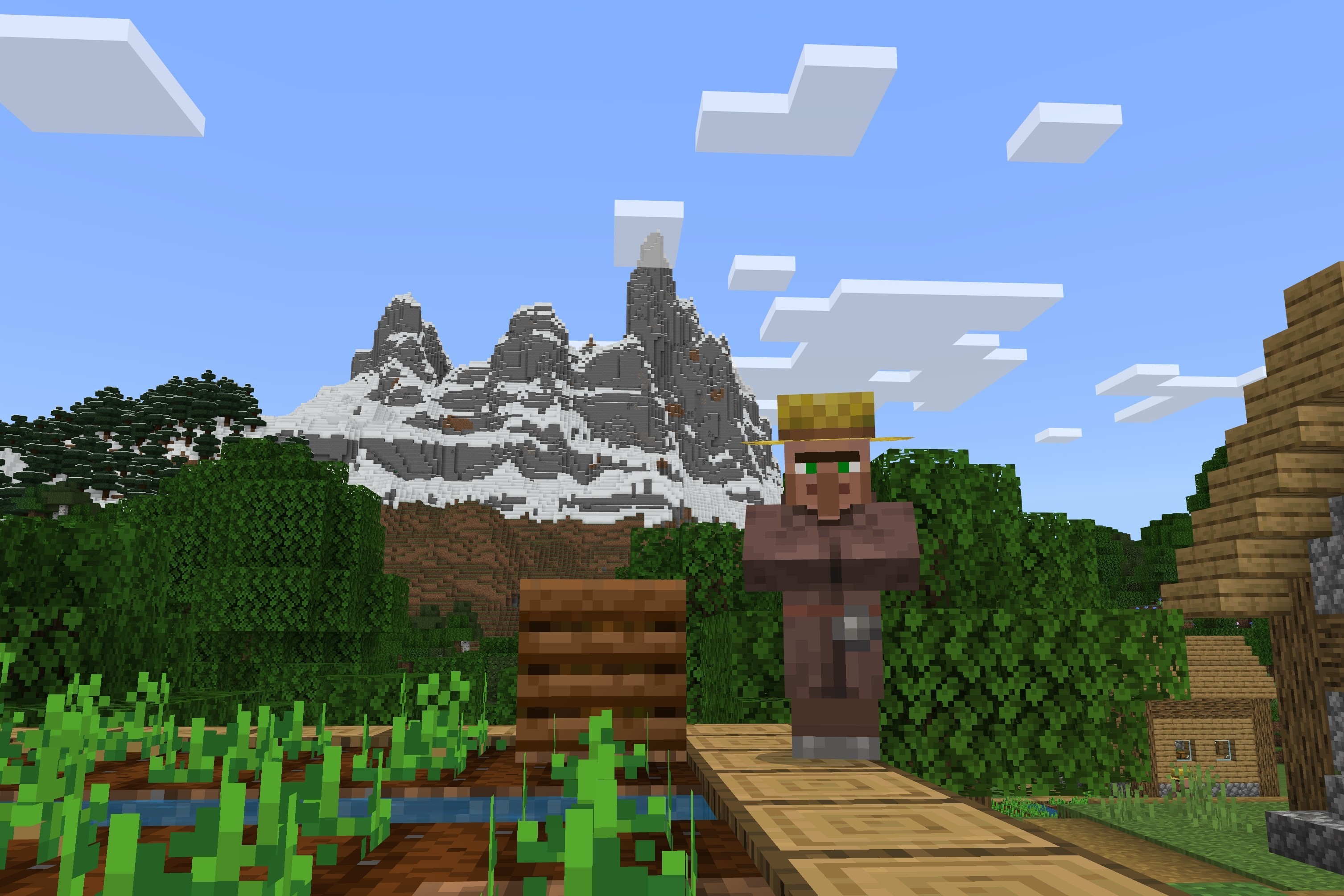 A villager in Minecraft