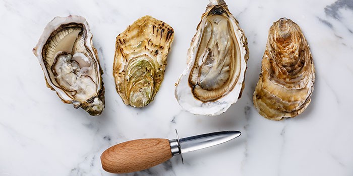 Oysters and shucking knife