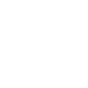 Icon for Seattle