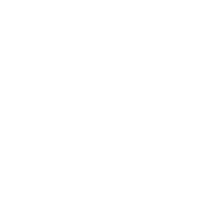 Icon for Seoul