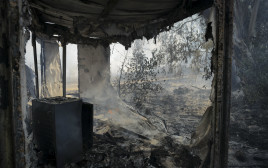 נזקי השריפות בצפון (צילום: מיכאל גלעדי, פלאש 90)