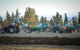 שבועות (צילום: ענת חרמוני, פלאש 90)