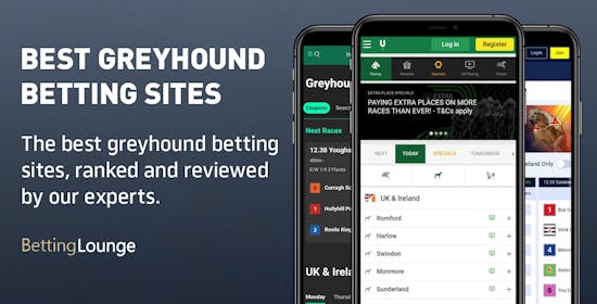 Best Greyhound Betting Sites (July 2024)