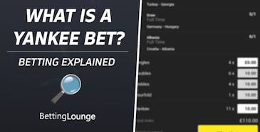 Yankee Bet Explained