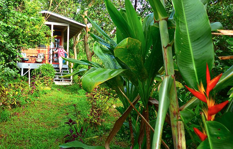 Parakeet flowers bloom along the path to a rental cabin at I`olani Farm.