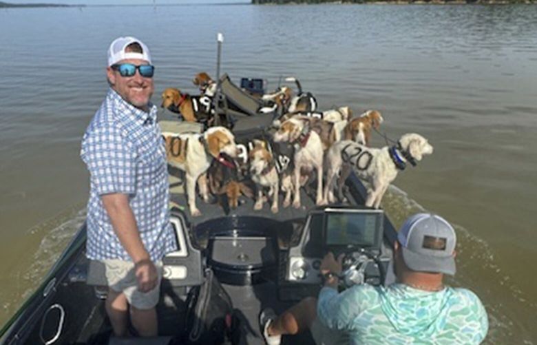 CORRECTS NAME OF LAKE: Fisherman Brad Carlisle, left, and fishing guide Jordan Chrestman bring one of three boatloads of dogs back to shore after they were found struggling to stay above water far out in Mississippi’s Grenada Lake. (Bob Gist via AP) RPJM101 RPJM101