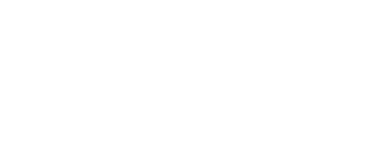 Project Play