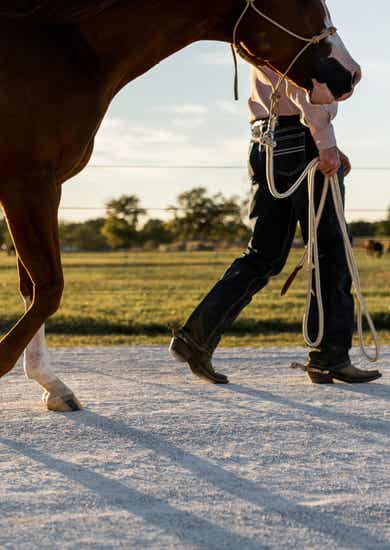 Man leading horse on walk