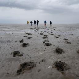 Wanderer im Wattenmeer