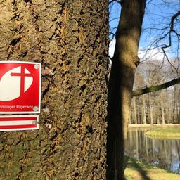 An einem Baum ist ein Hinweisschild mit Symbol zur Richtung des Hümmlinger Pilgerwegs angebracht.