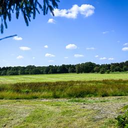 Blick auf eine abgemähte Wiese nahe des Fundortes einer Kinderleiche im Landkreis Stade.