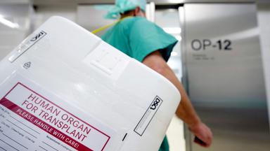 Ein Styropor-Behälter zum Transport von zur Transplantation vorgesehenen Organen wird am Eingang eines OP-Saales vorbeigetragen.