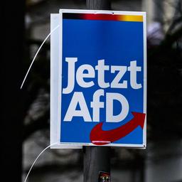 Wahlplakate der AfD in Berlin