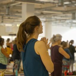 Eine Gruppe Frauen bei einer Yogaübung