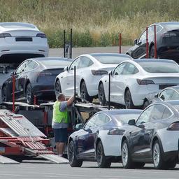 Tesla Fahrzeuge werden zum Transport verladen.