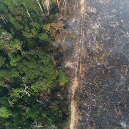 Teil des Amazonas-Dschungels, der bei der Abholzung durch Holzfäller und Landwirte brennt.