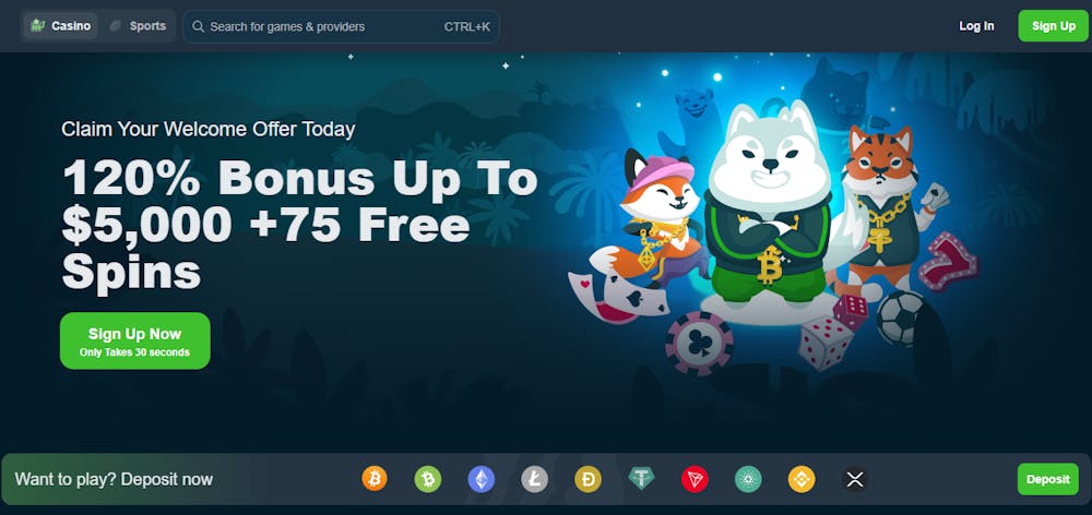 Wild.io kasinon tervetuliaisbonus