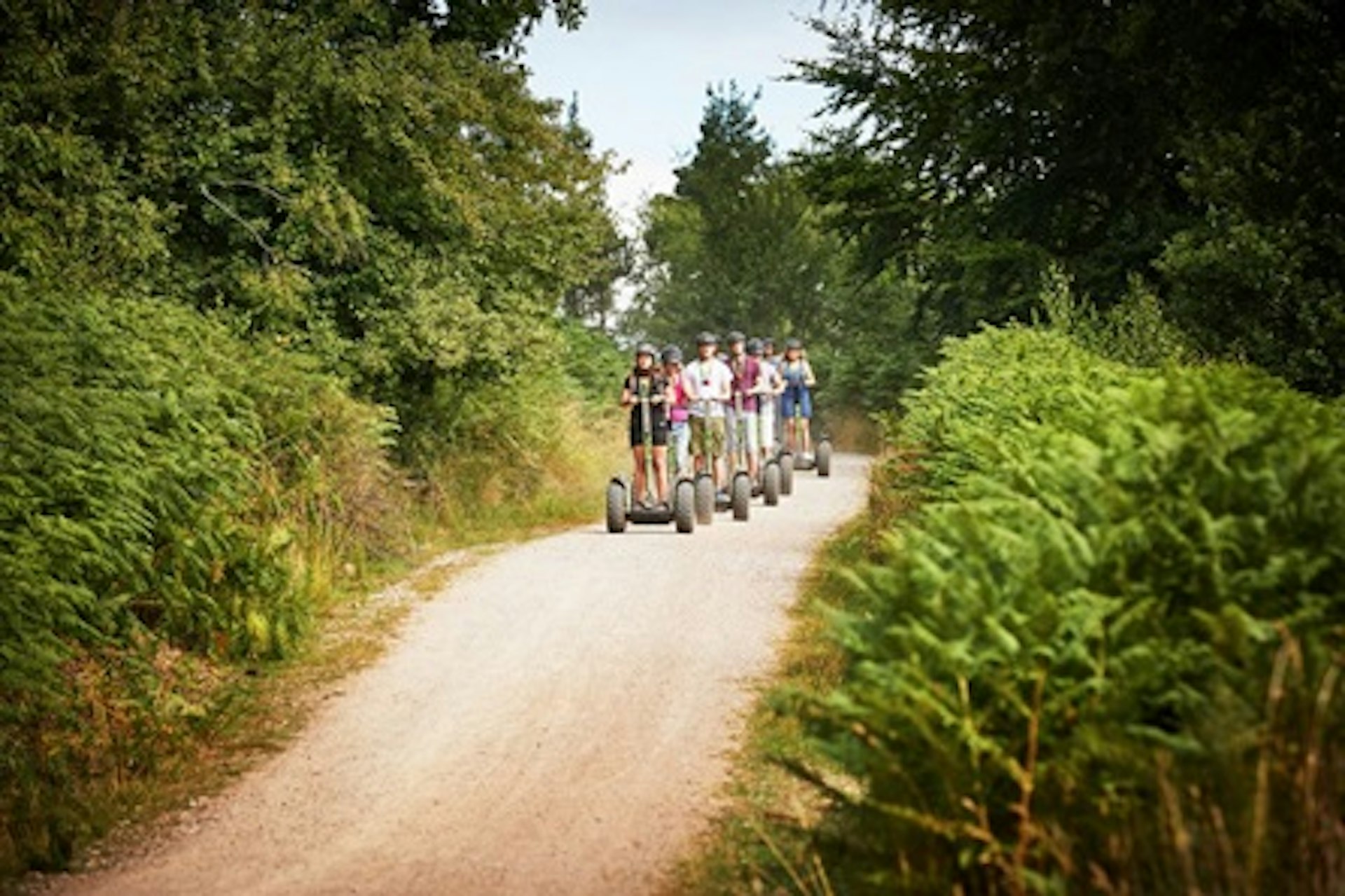 Go Ape Forest Segway Adventure for One 4