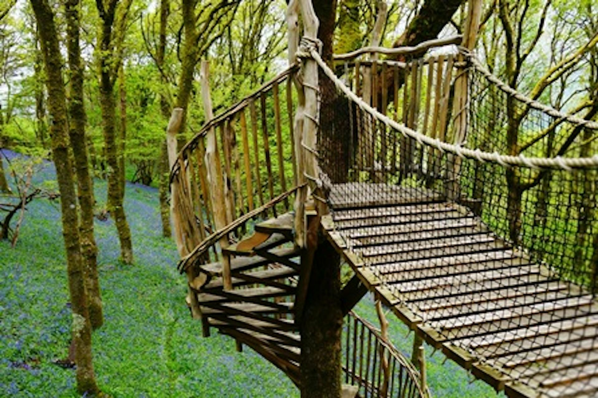 Two Night Treehouse Experience for Two