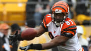 Dec 12, 2010; Pittsburgh , PA, USA; Cincinnati Bengals wide receiver Terrell Owens (81) catches a pass during warm ups before the game against the Pittsburgh Steelers at Heinz Field. Mandatory Credit: Jason Bridge-USA TODAY Sports