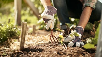 Dig into deeper discounts on lawn care essentials this April.