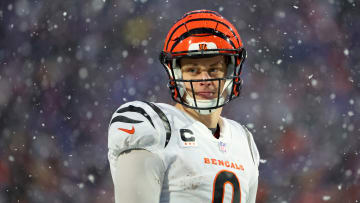 AFC Divisional Playoffs - Cincinnati Bengals v Buffalo Bills