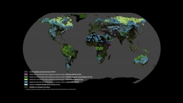 A look at the Global Safety Net's online map application.