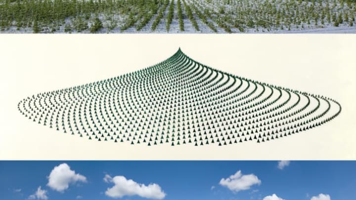 Tree Mountain - A Living Time Capsule - 11,000 Trees, 11,000 People, 400 Years (Triptych) 1992-1996, 1992/2013