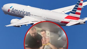 american airlines flight passenger arrested