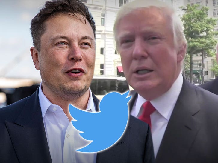 elon musk, donald trump twitter