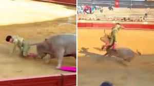 Bullfighter Gored In His Ass In Front Of Fans, Wild Video