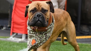 Cleveland Browns Mascot Swagger Jr. Dead At 5