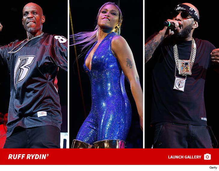 Ruff Ryders and Friends Reunion Tour