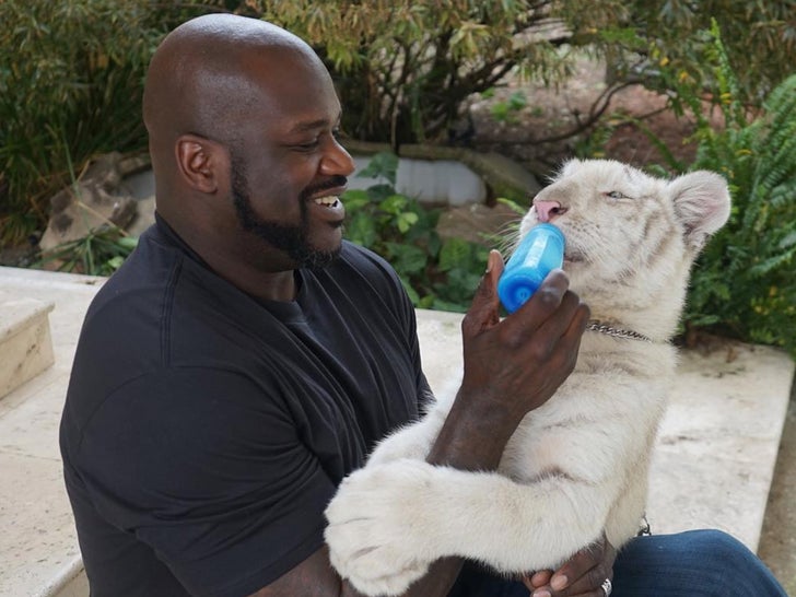 Shaquille O'Neal's Animal Photos