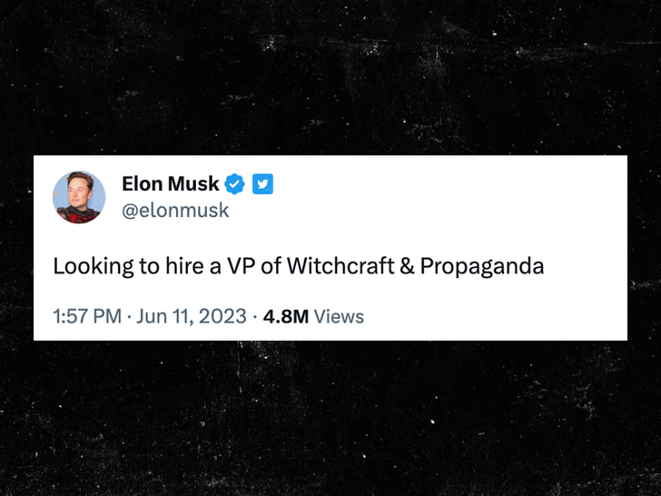 elon musk tweets