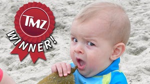 TMZ's Annual Beachin' Baby Photo Contest -- Winner!