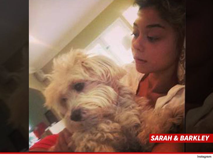 Modern Family' Star Sarah Hyland -- My Ex-BF Choked Me :: 0923-sarah-and-barkly-instagram-sub-3