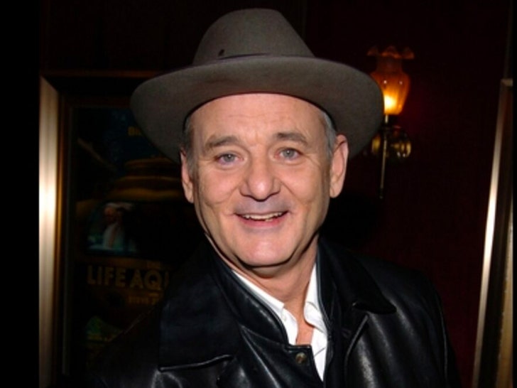 Bill Murray Through the Years