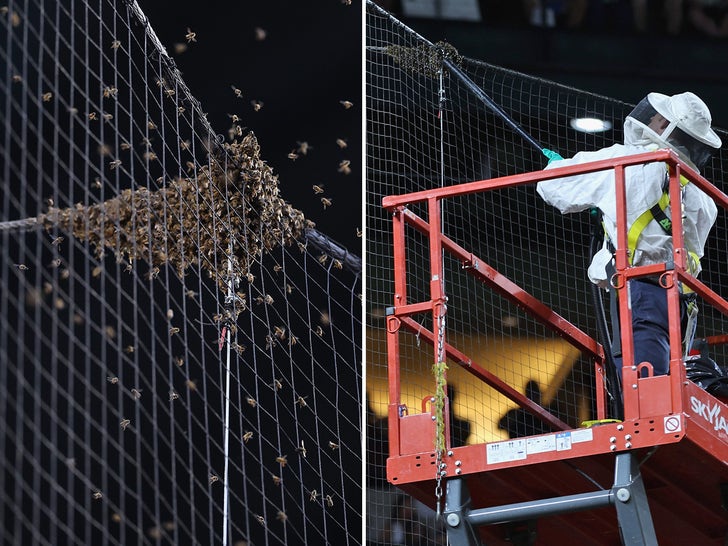 Bees Delay Dodgers vs Diamondbacks Game