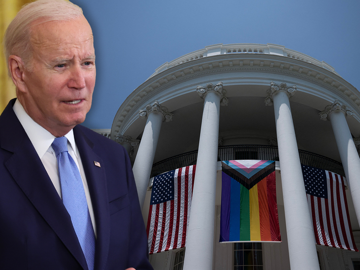 joe biden Pride flag ung on the white house