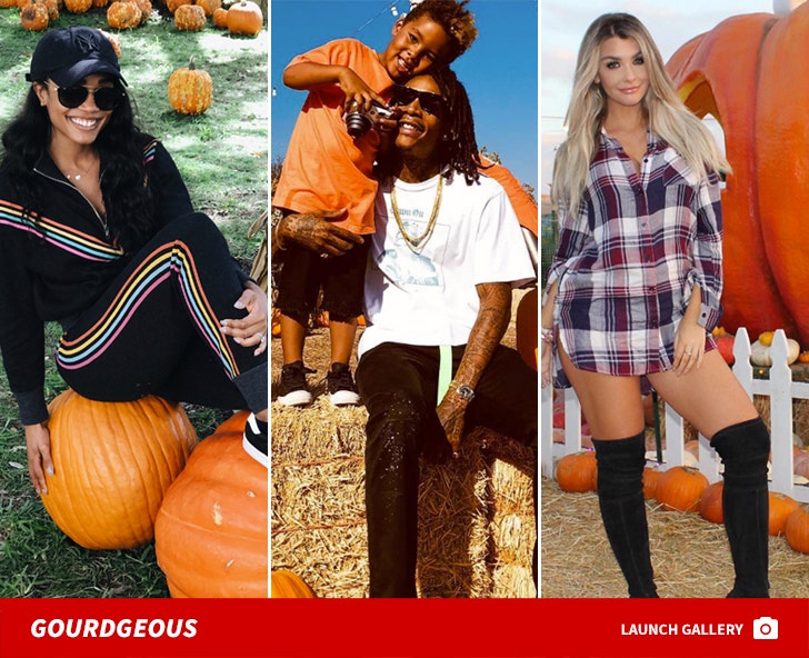 Celebs At The Pumpkin Patch