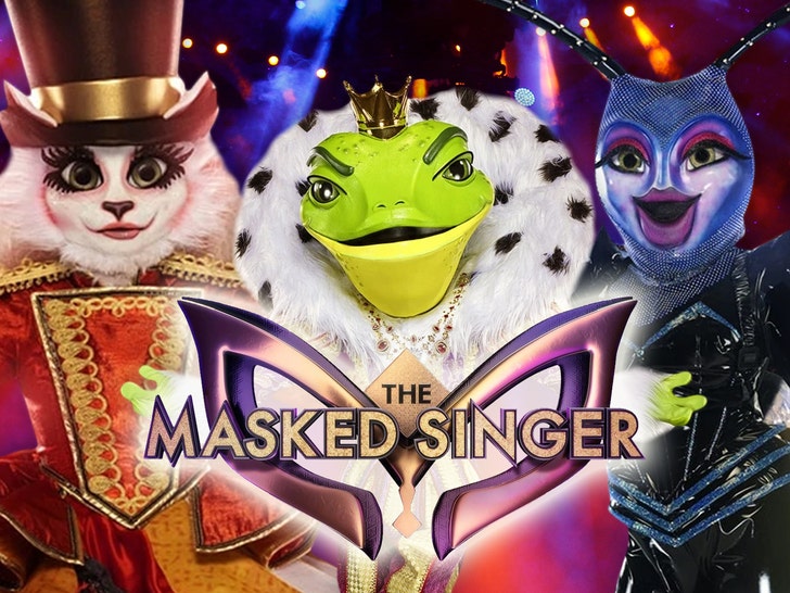 masked singer