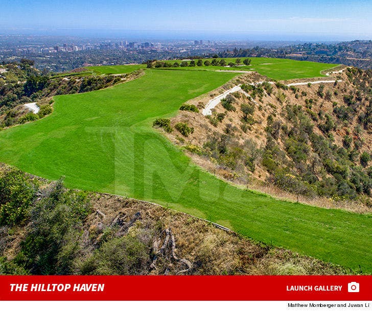 Billion Dollar Mountain For Sale in Los Angeles