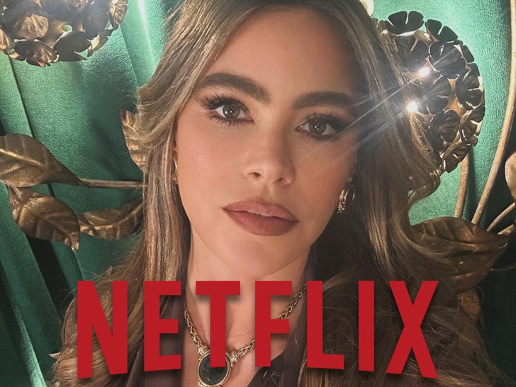 sofia vergara netflix