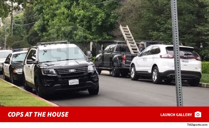 LeBron James' L.A. Home Vandalized -- Cops at the House