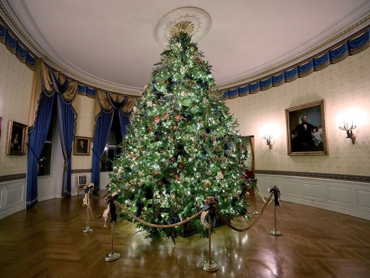 The 2019 White House Holiday Decorations