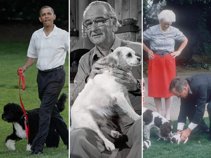 Presidential Pooches -- Through the Years